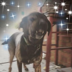 Meet your Posher, Jake